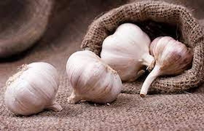 سیر اصفهان کوچک تازه عطری شیرین و تندی ملایم